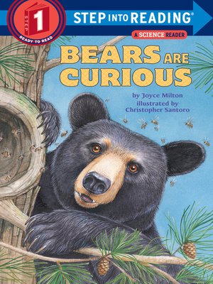cover image of Bears Are Curious